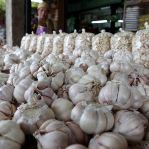 Garlic