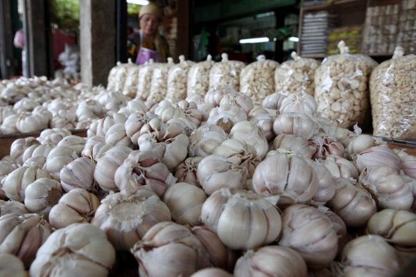 Garlic